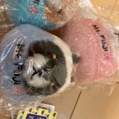 アミューズ品セットの画像