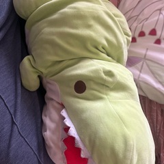 ポケモンボール＆ワニのぬいぐるみの画像