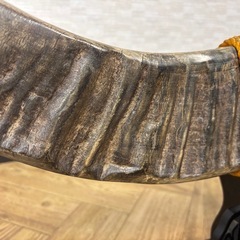 水牛の角　置物の画像