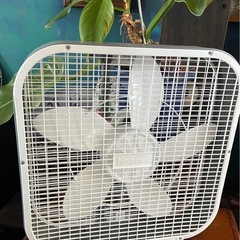box fan の画像