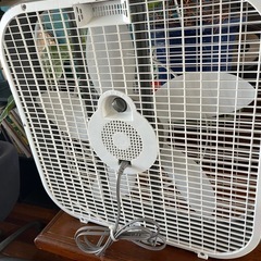box fan の画像
