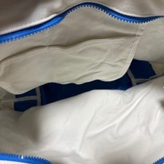 世界一有名なアヒルの画像