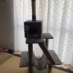 キャットタワーの画像