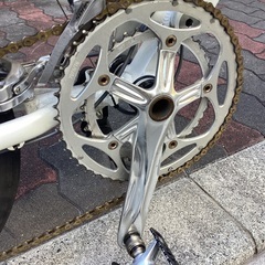 🚴 tartarruga typesport20インチ