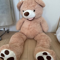 熊ぬいぐるみの画像