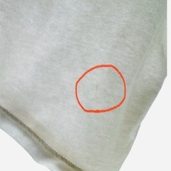 HOLLISTER　ホリスター TシャツMサイズ　Calif Guard 男女可の画像