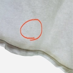 HOLLISTER　ホリスター TシャツMサイズ　Calif Guard 男女可の画像