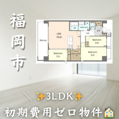 【✨初期費用無料✨】早良区百道／ペット可　☆即内見可!!