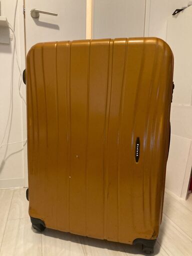 Proteca/プロテカ（H73*W50*D25、2014年購入）スーツケース