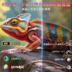 プロジェクターの画像