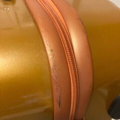 Proteca/プロテカ（H73*W50*D25、2014年購入）スーツケースの画像