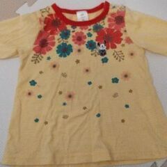 80cm 5着の画像