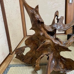木の根っこオブジェの画像