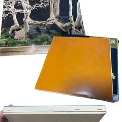 6日（土）限定価格🌻国風盆栽展の本📕✨まとめ売り‼️12冊🌈の画像