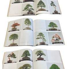 6日（土）限定価格🌻国風盆栽展の本📕✨まとめ売り‼️12冊🌈の画像