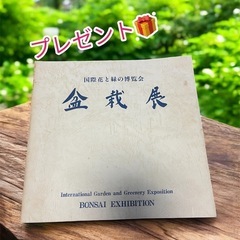 6日（土）限定価格🌻国風盆栽展の本📕✨まとめ売り‼️12冊🌈の画像