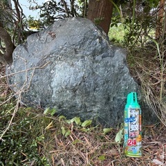 庭石　無料の画像