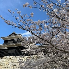 新聞紙を譲って頂ける方いませんか？