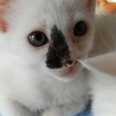 おひげくん 男の子 2ヶ月