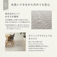い草風ラグマットの画像