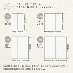 い草風ラグマットの画像