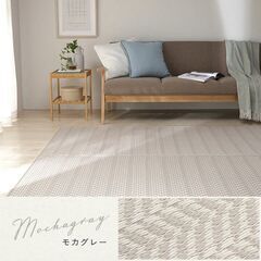 い草風ラグマットの画像
