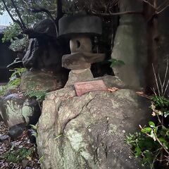 【早い者勝ち】元芸術家の庭石、すべてお譲りします！価値ある石かも？9月限定の画像