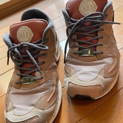 AIR MAX2 LIGHT 海外モデルの画像
