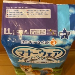 マナーウェアー　中型犬LLの画像