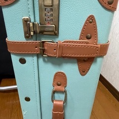 【無料】トランク🧳　まとめて引取歓迎／9月中受け渡し）29の画像