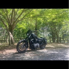 ハーレーダビッドソン  スポーツスターXL1200の画像