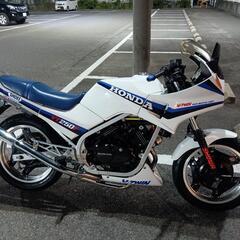 VT250FE  綺麗の画像