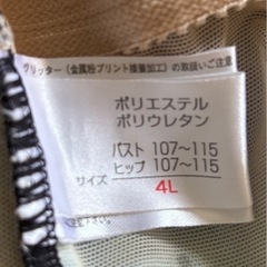 婦人水着　４Ｌスイミングスクール着の画像