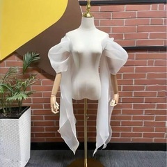 前撮り用 白ドレスの画像