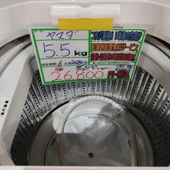 配送可【ヤマダ】5.5K洗濯機★2024年製　分解クリーニング済み/6ヶ月保証付き【管理番号10109】佐の画像