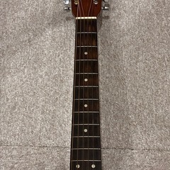 アコースティックギターの画像