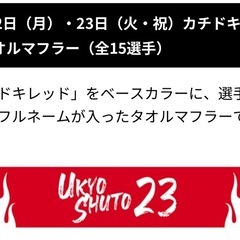 ソフトバンクペアチケット の画像