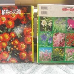 📚【希少・資料価値あり】山野草百科・鳥類図鑑・植物図鑑 まとめての画像