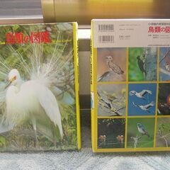 📚【希少・資料価値あり】山野草百科・鳥類図鑑・植物図鑑 まとめての画像