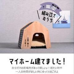 猫ハウス 犬ハウスの画像