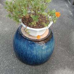 火鉢（底丸穴あり）の画像