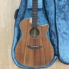ほぼ新品未使用/DCT GR-641KCE/エレアコ/ギター/Martinのギターケース付きの画像