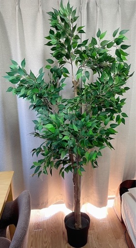 【ジモティ限定特価】  フェイクグリーン 人工観葉植物 ① 目黒引取限定】フェイクグリーン/人工観葉植物 約165cm (綺麗好き
