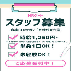 9/16(火)夜勤｜切り花の仕分け作業（平和島）の画像