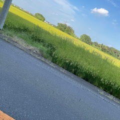 穀物乾燥機、その他