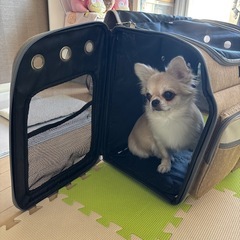 ペット　キャリー　車輪付きの画像
