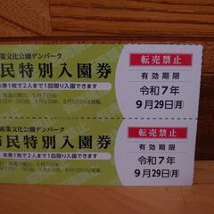 デンパーク 市民特別入園券の画像