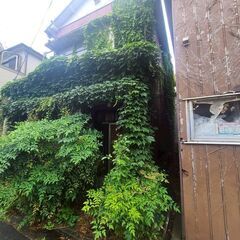 北小岩の木造2階建て戸建ての内装リフォーム
