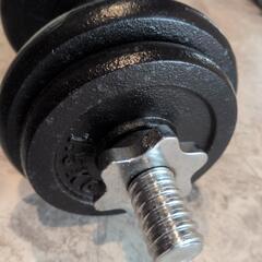 10kg　ダンベルの画像