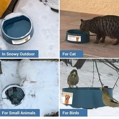 加熱可能ペット用ボウル、猫用加熱ボウル、冬小動物茶碗の画像